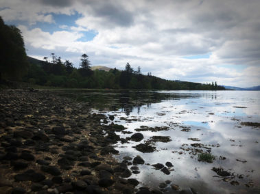 Loch Fyne at Scapa Fest