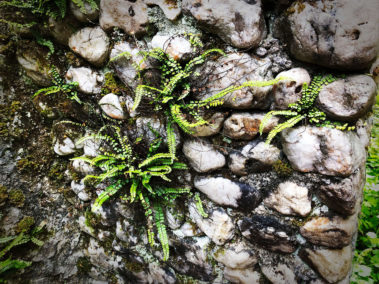 Nature will overcome